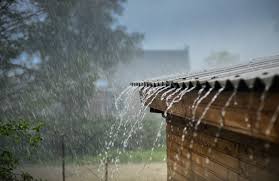 New Post:Importance of rain water to  plant Health
